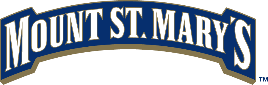 Mount St. Marys Mountaineers 2006-2016 Wordmark Logo iron on transfers for clothing